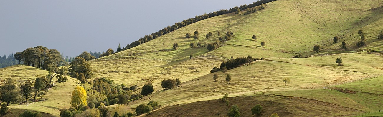 Willkommen auf BioBalancing.de! Bilder von JensRoesner.de